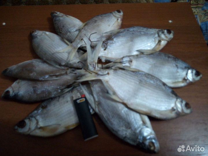 Рыба густера кубанская