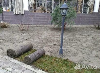 Продажа Рулонного газона