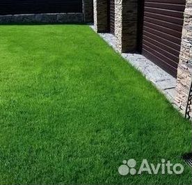 Газон от производителя