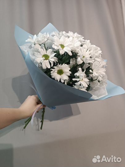 Букет из 3х веточек хризантем ромашек в упаковке