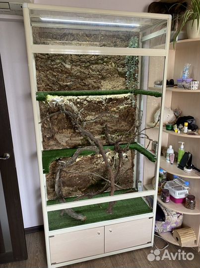 Террариумы для игуан, лемуров, галаго, обезьянок