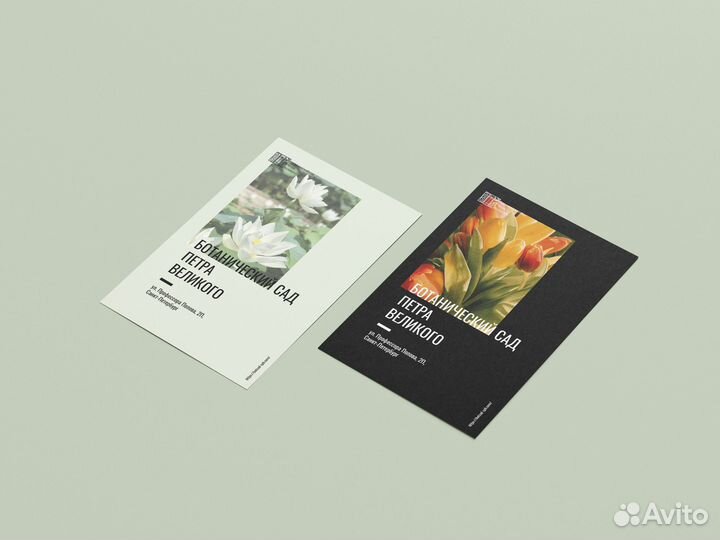 Графический дизайн