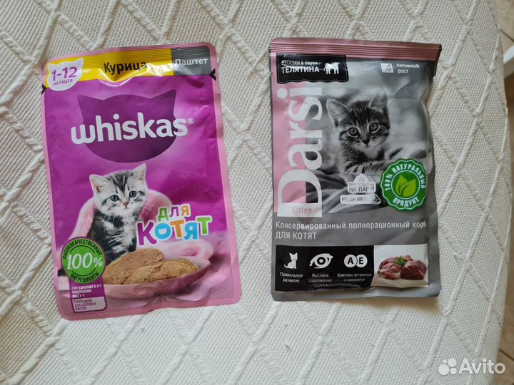 Корм для котят кошек