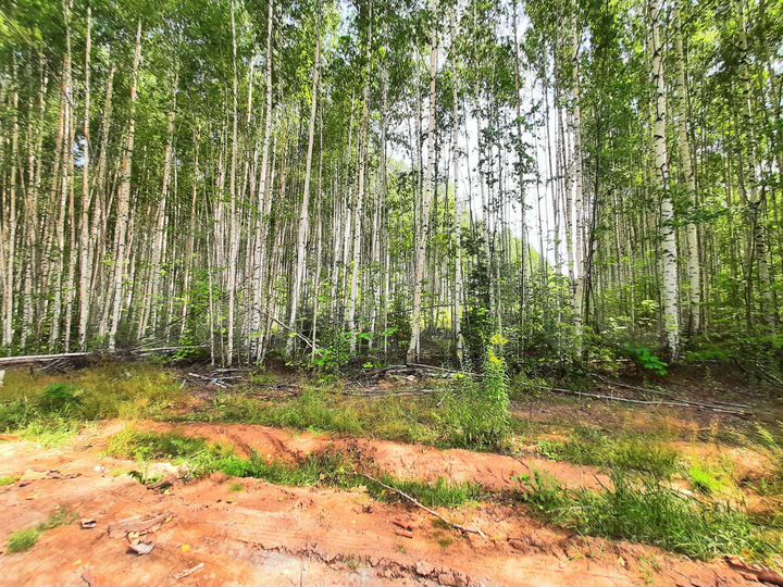 Участок 14 сот. (ИЖС)