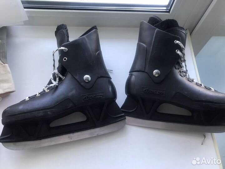 Коньки Динамо