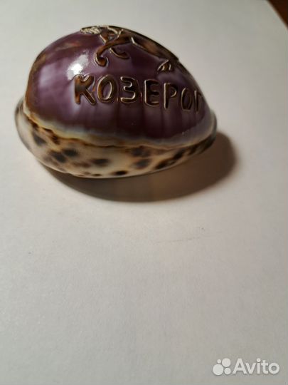 Сувениры ракушка Козерог