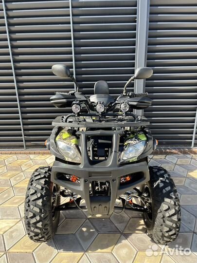 Grizzly 250
