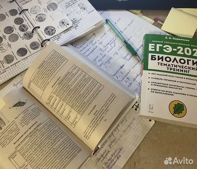 Репетитор по биологии огэ/егэ