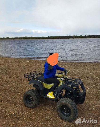 Квадроцикл мотоленд 250