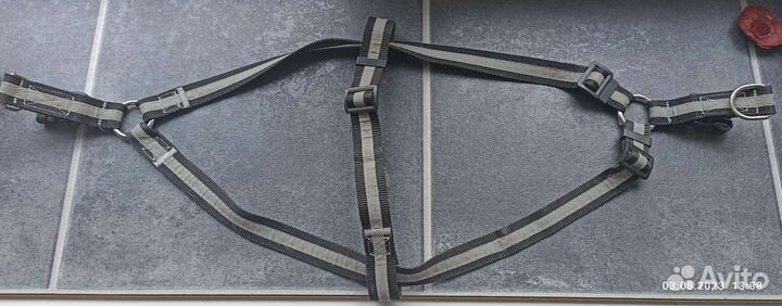 Шлейка для собак