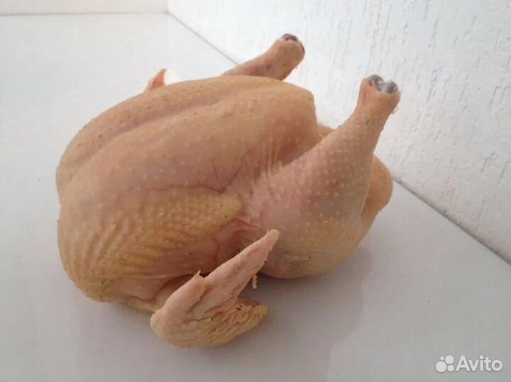 Мясо утки мулард,бройлер,Куры редбро С доставкой