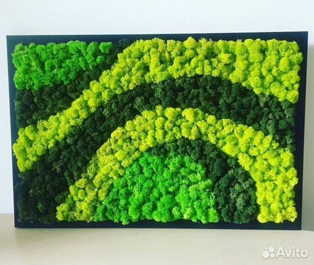 Фитопанно из мха яблоко