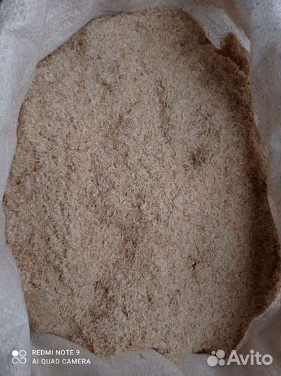 Овес, пшеница, ячмень