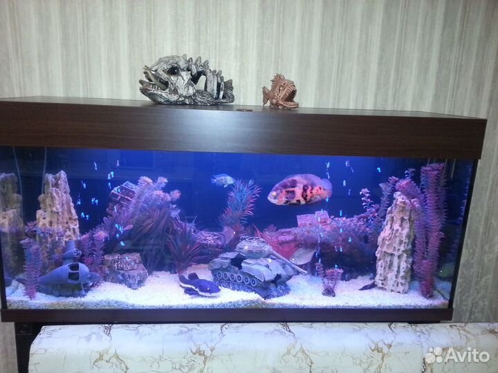 Ремонт Изготовление Аквариумов