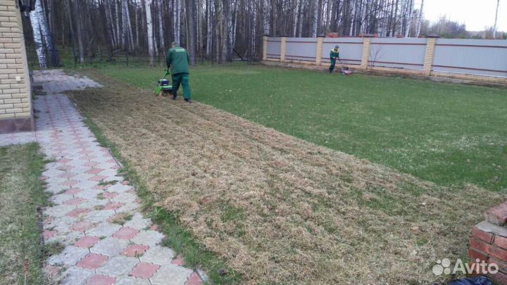Скарификация газона
