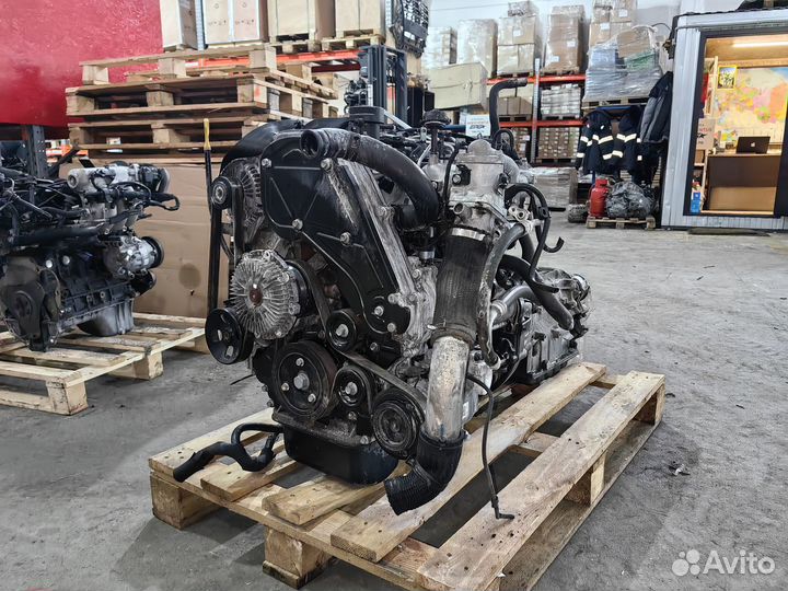 D4CB двигатель Hyundai Grand Starex 2.5D 174лс