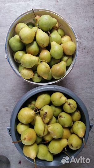 Груши