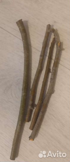 Лакомства для грызунов