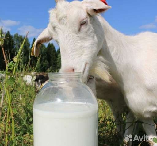 Козье молоко