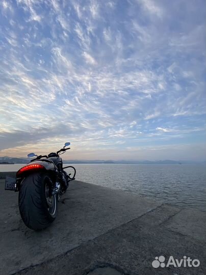 Harley Davidson v-rod muscle