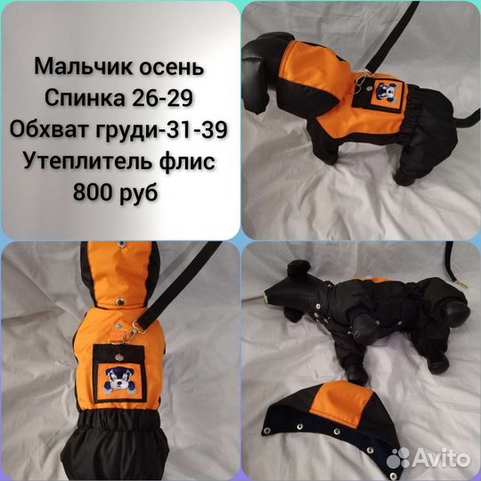 Одежда, дождевики, комбинезоны, для собак