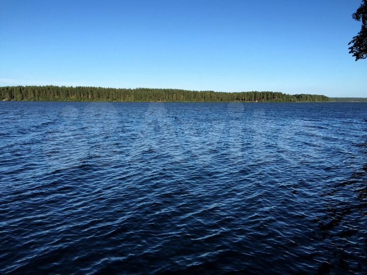 Участок 17,4 сот. (СНТ, ДНП)