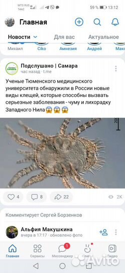 Обработка участков уничтожение травы