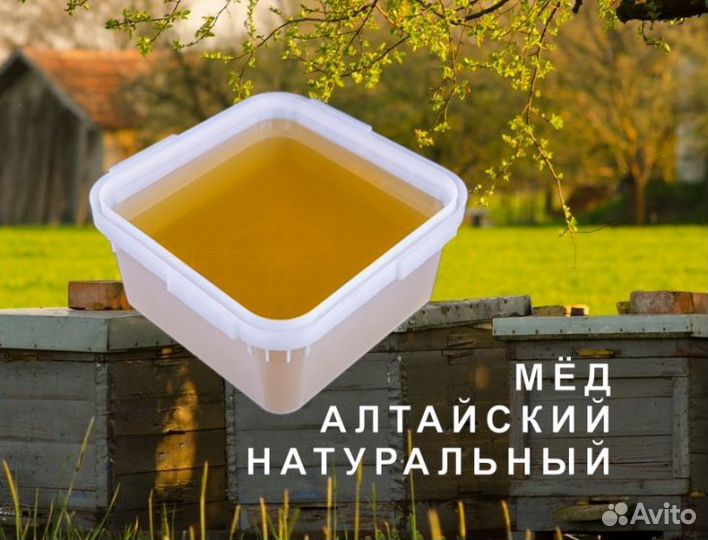 Мед натуральный с Алтая опт