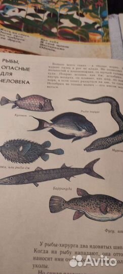 1989 -1990 годов. Мурзилка