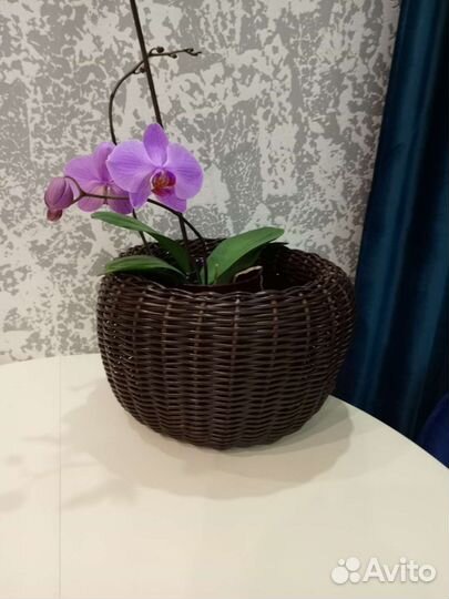 Кашпо из искусственного ротанга