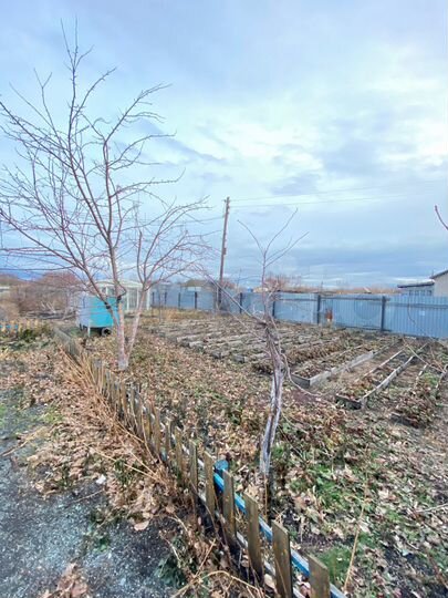 Дом 28 м² на участке 7,5 сот.