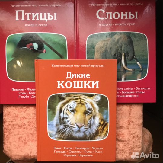 Удивительный мир живой природы