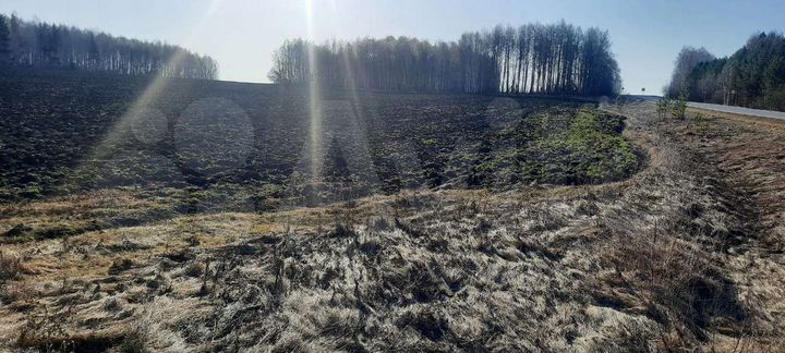 Участок 42 га (СНТ, ДНП)