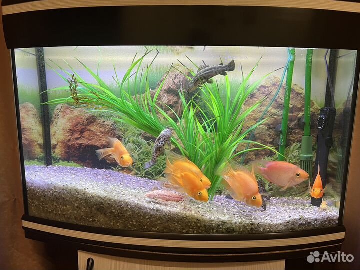 Аквариумный комплекс 125 литров