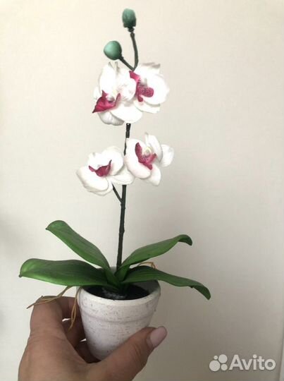 Орхидея фаленопсис. Искуственные)