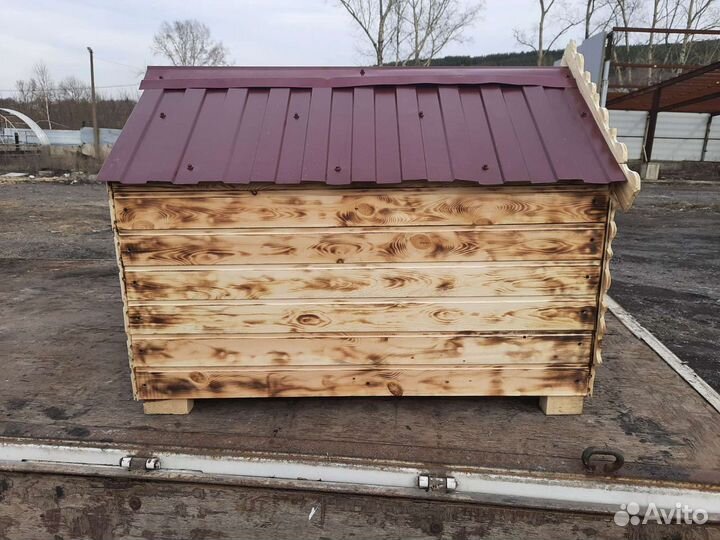 Собачья будка