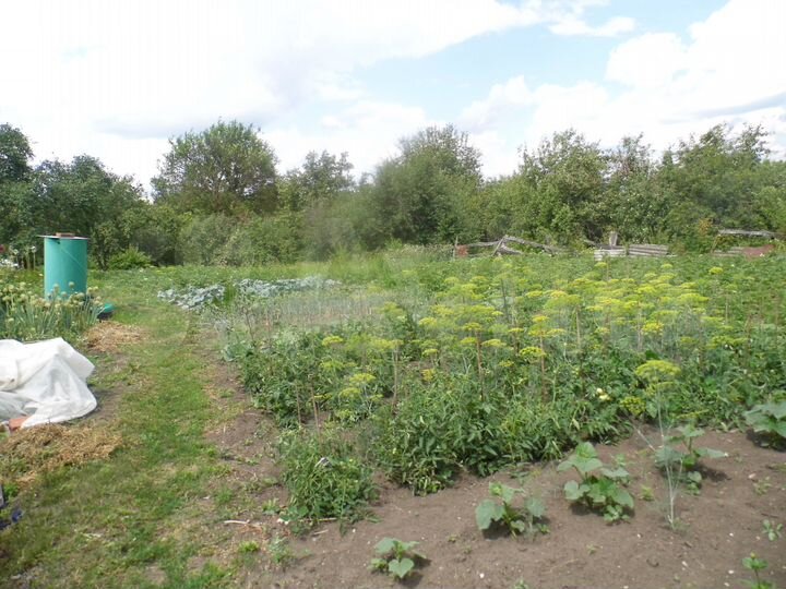 Дом 50 м² на участке 32 сот.