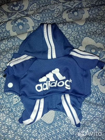 Одежда для собак