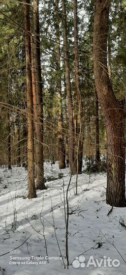 Эко-парк,санаторий,база-отдыха,усадьба