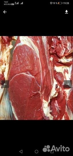 Мясо говядина халяль