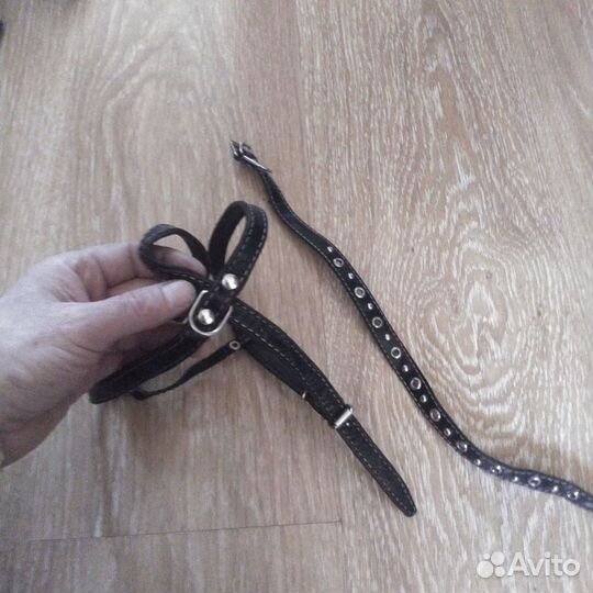 Шлейка + ошейник для небольшой собаки