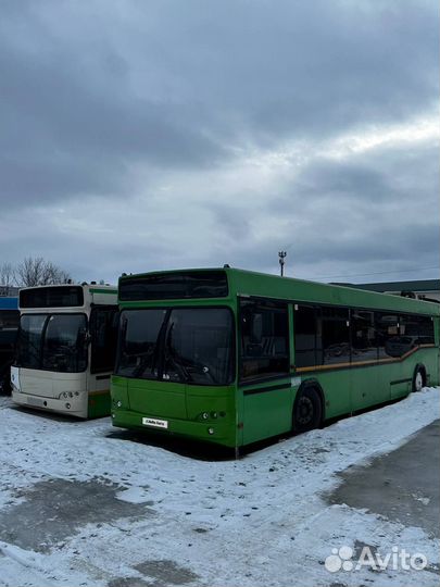 Городской автобус МАЗ 103, 2011