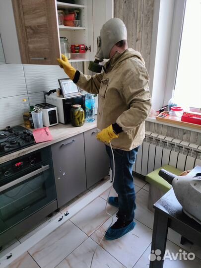 Обработка от клопов/обработка от тараканов