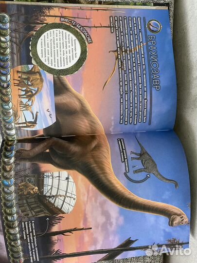 Детская Энциклопедия: Астрономия. Динозавры