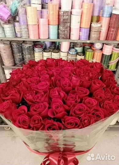 Высокие розы