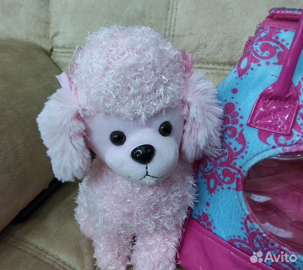 Пудель в сумочке