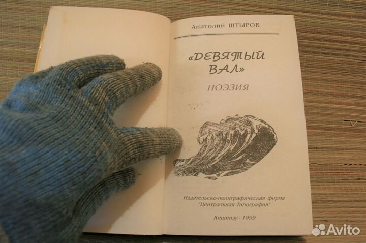 Девятый вал Анатолий Штыров