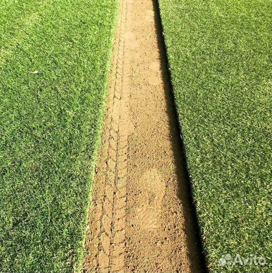 Рулонный газон