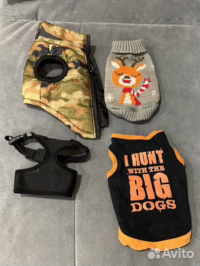Одежда для собак