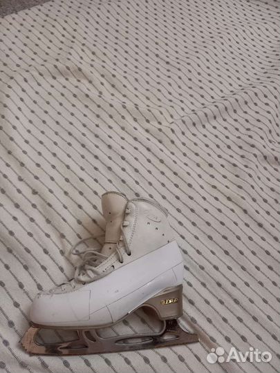 Фигурные коньки edea chorus 225